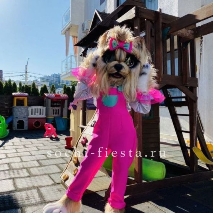 Аниматор Гламурная Собака в Тольятти