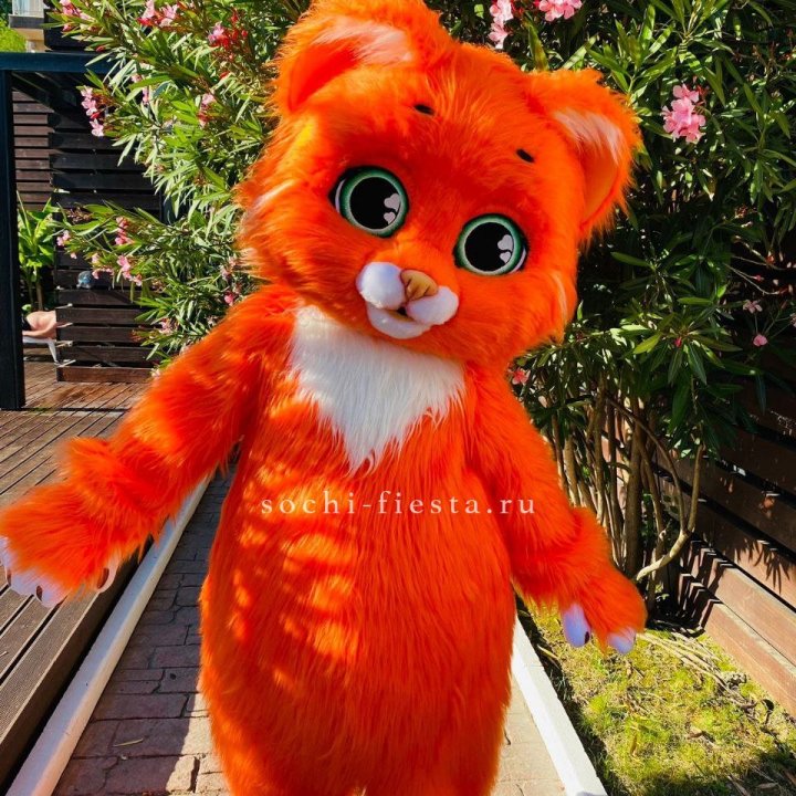 Аниматор Котик в Тольятти