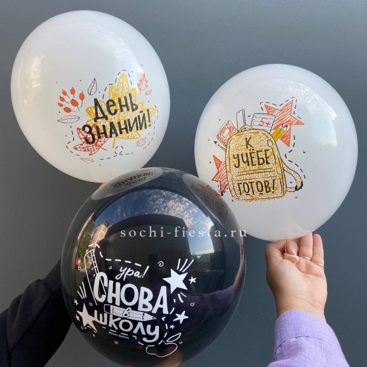 Воздушный шар к 1 сентября в Тольятти