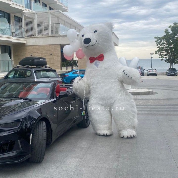 Аниматор Белый Медведь в Тольятти