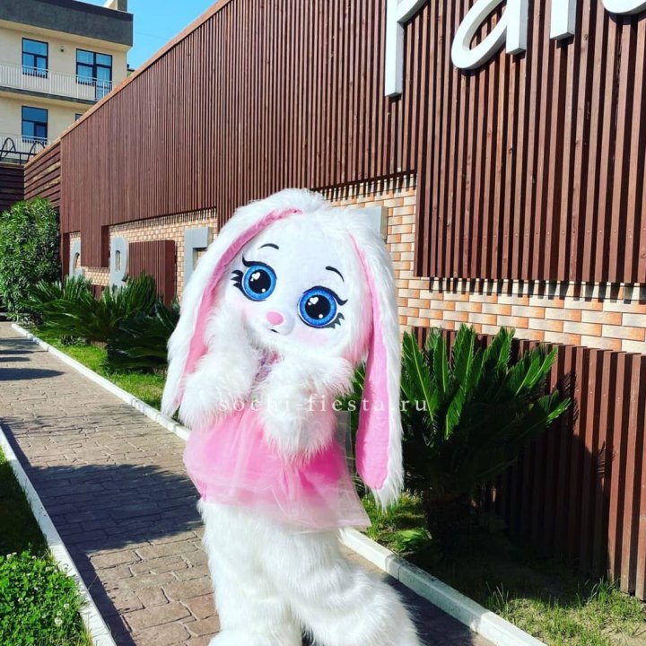 Аниматор Зайка в Тольятти