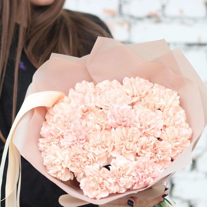 Диантусы №2 в Тольятти