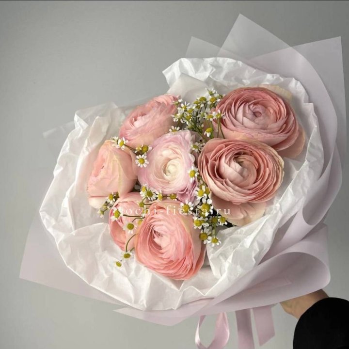 Ранункулюсы с ромашками в Тольятти