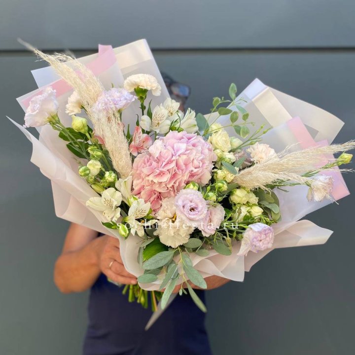 Гортензия "Пинк флоид" в Тольятти