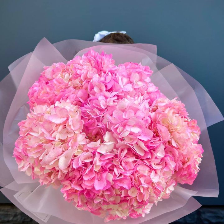 9 ярко розовых гортензий в Тольятти