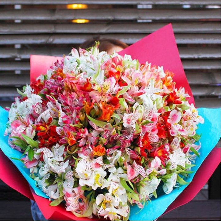 101 альстромерия в Тольятти