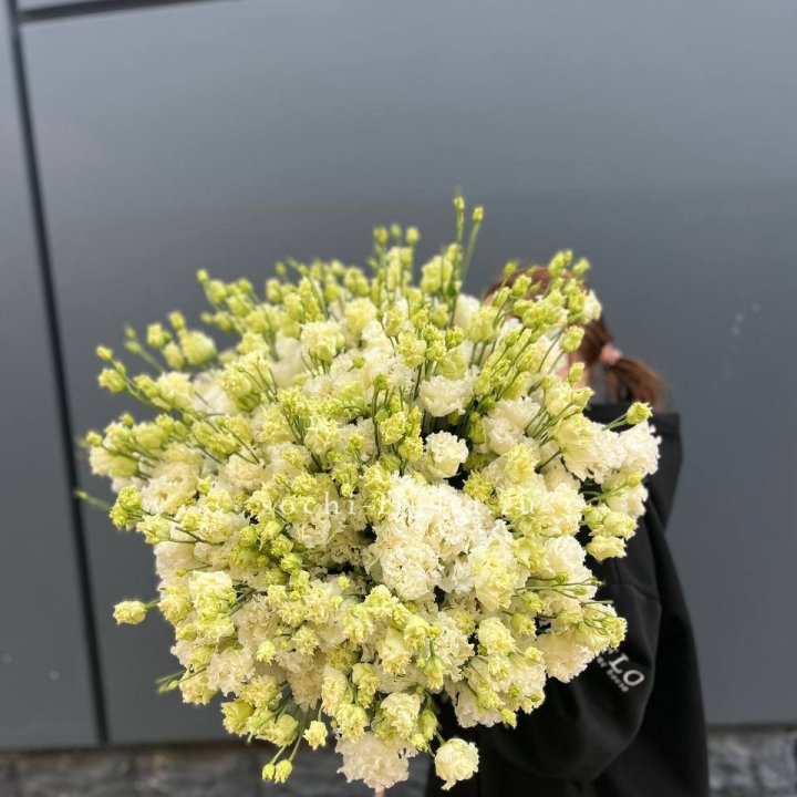 51 белая эустома в Тольятти