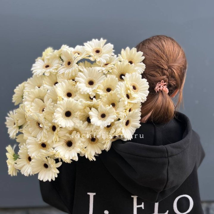 51 гербера в Тольятти