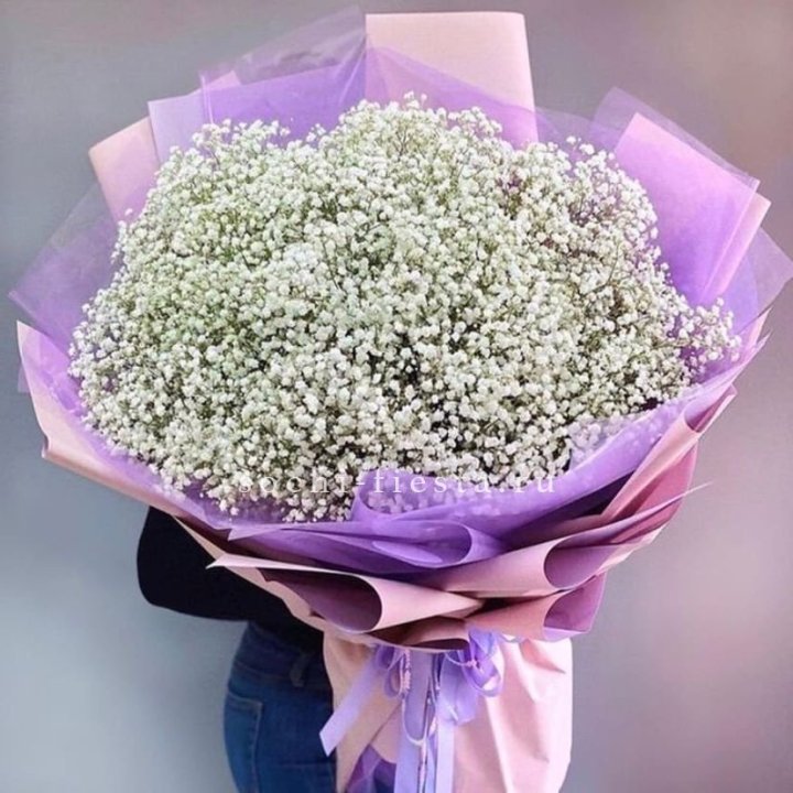 Облако белых гипсофил в Тольятти