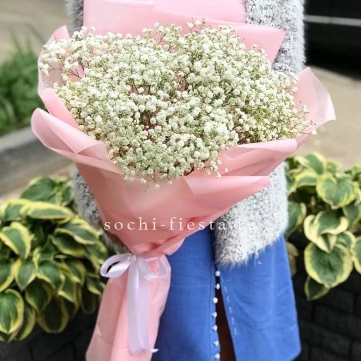 Белоснежные гипсофилы в Тольятти