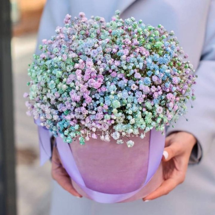 Гипсофилы в шляпной коробке "Кандилайт" в Тольятти