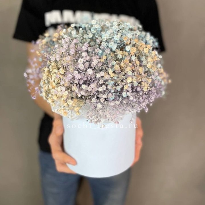 9 Радужных гипсофил в шляпной коробке в Тольятти