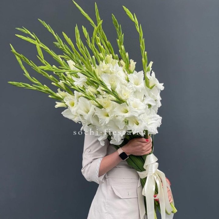 19 белых гладиолусов под ленту в Тольятти