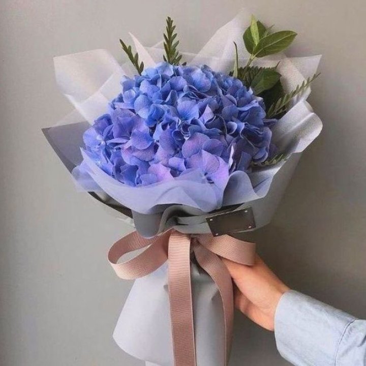 Гортензия голубая в Тольятти