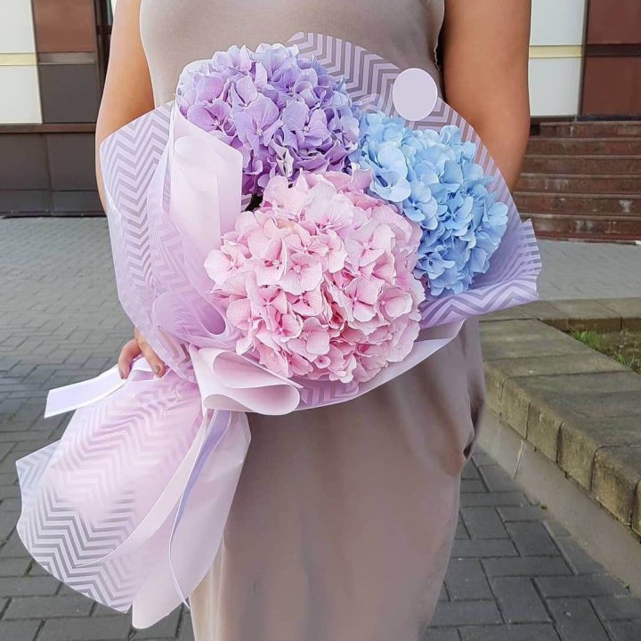 Букет гортензий "Пуф" в Тольятти