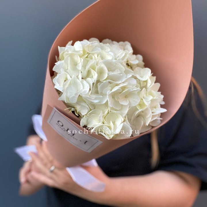 Гортензия в конверте в Тольятти