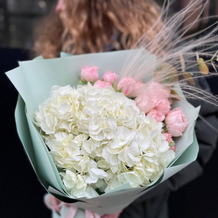 Гортензия "Жасмин" в Тольятти