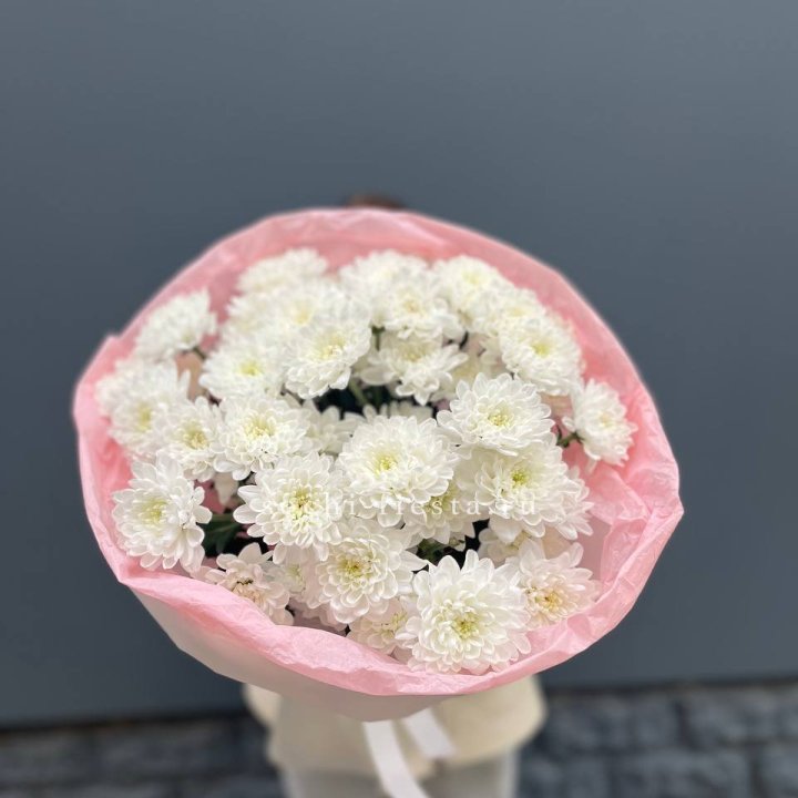  5 хризантем  в Тольятти