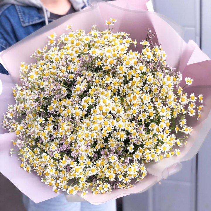 Букет ромашек №1 в Тольятти