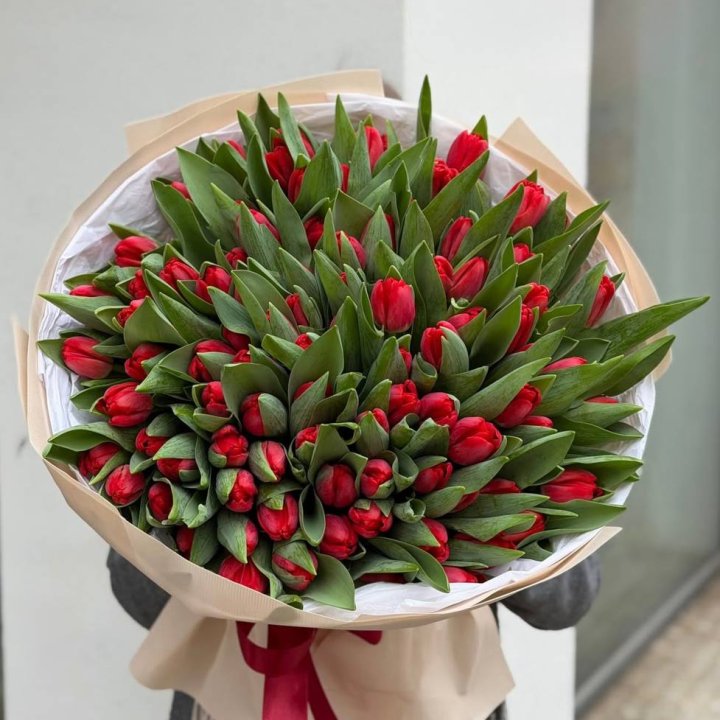 101 красный тюльпан в Тольятти