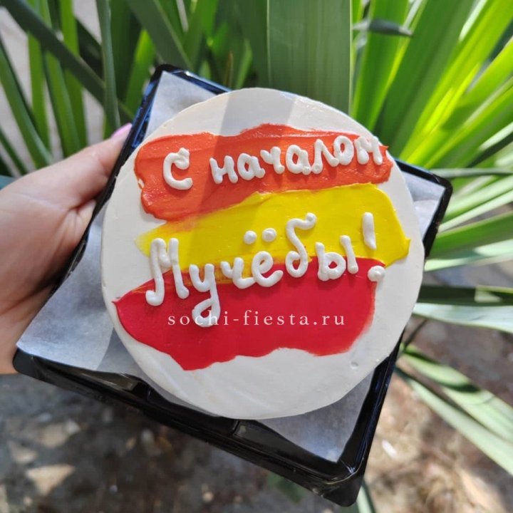 Бенто-торт "С началом учёбы"" в Тольятти