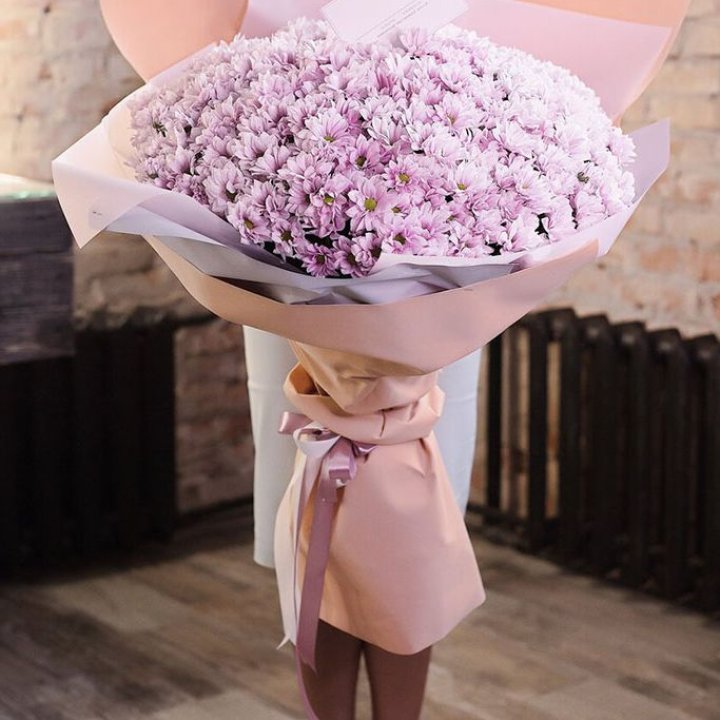 Облако хризантем №1 в Тольятти