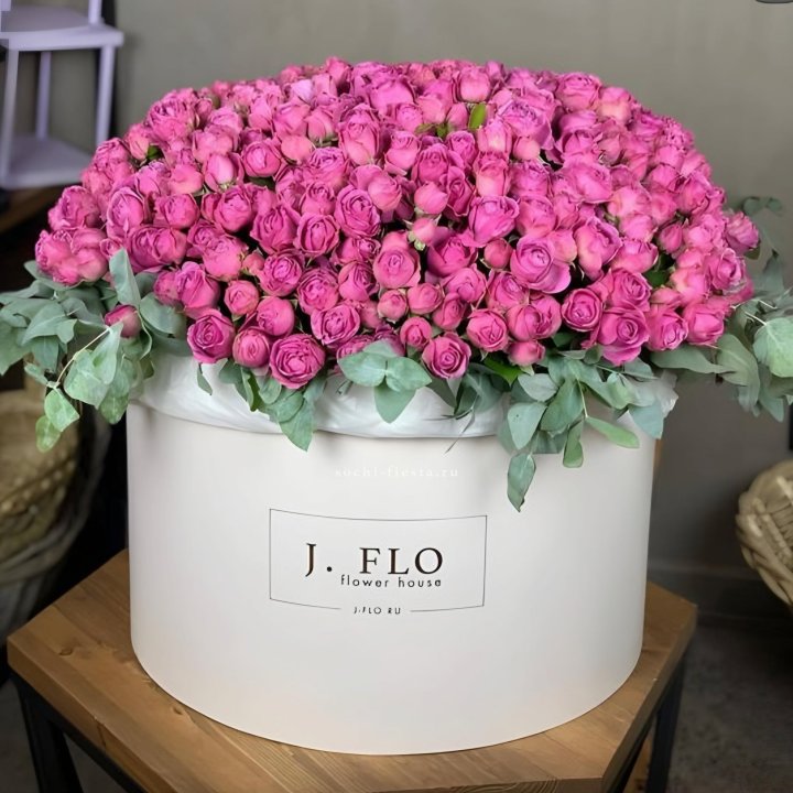 Цилиндр с Мисти Бабблс  в Тольятти