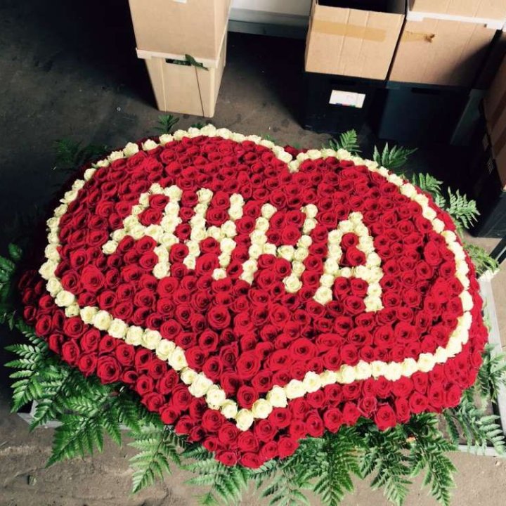 555 роз с именем в Тольятти