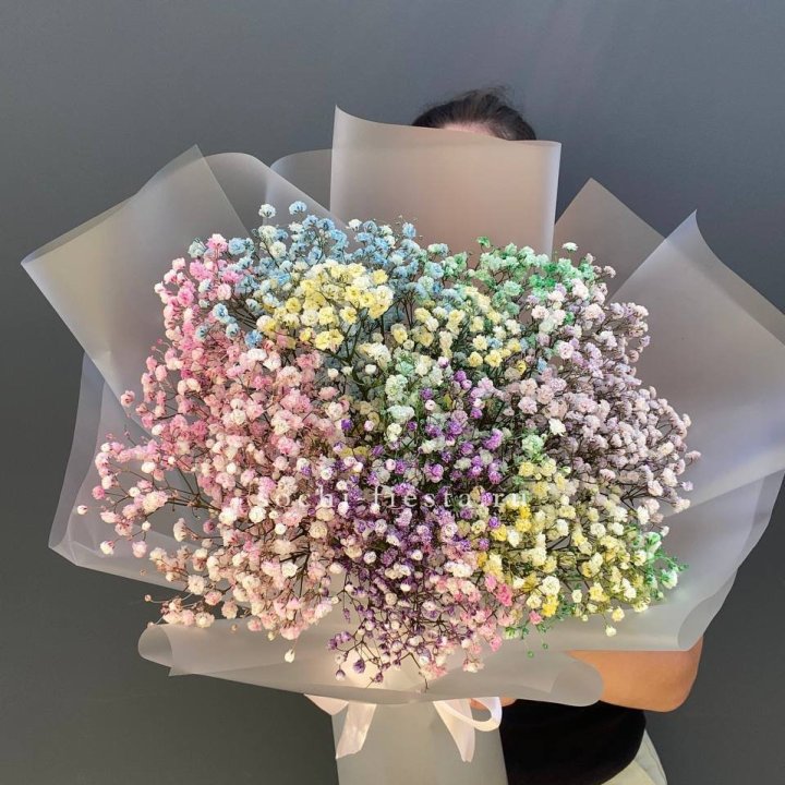 Радужные гипсофилы  в Тольятти