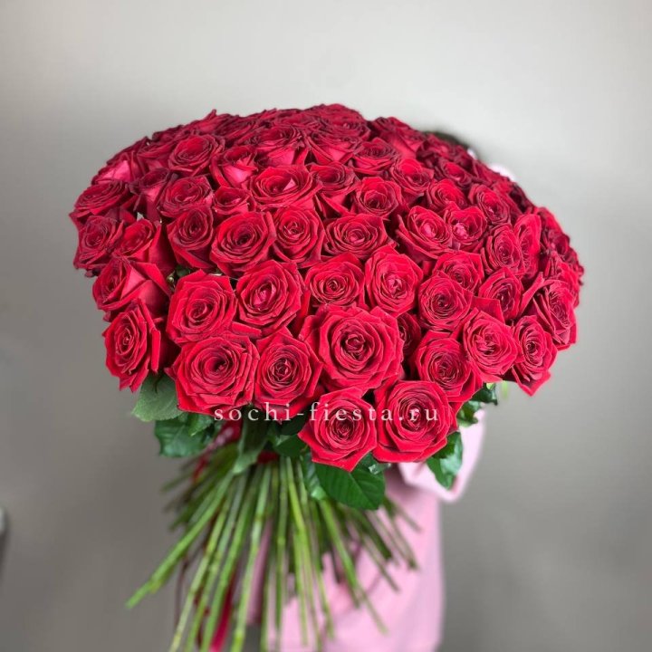 101  голландская роза  в Тольятти