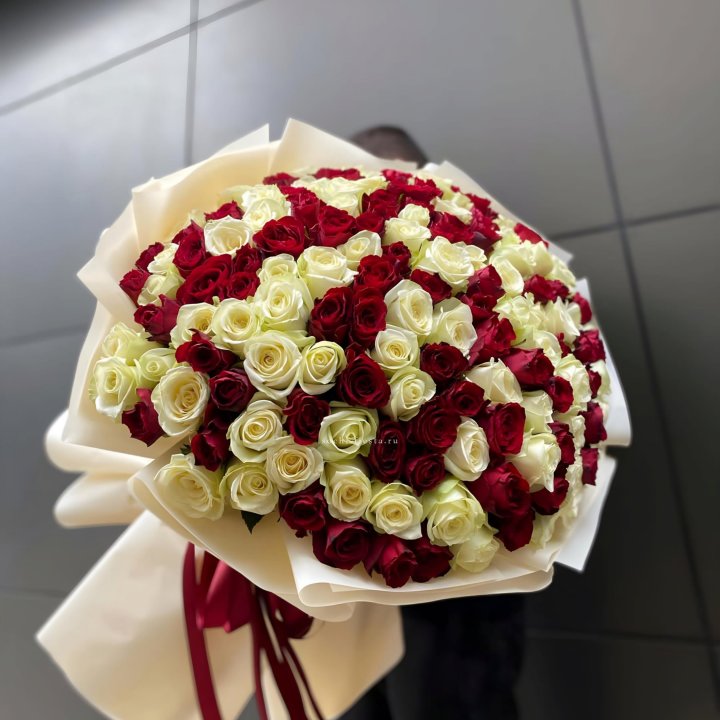 101 высокая импортная роза  в Тольятти