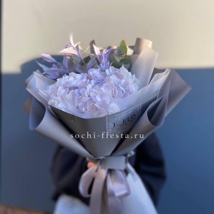 Гортензия "Виолета" в Тольятти