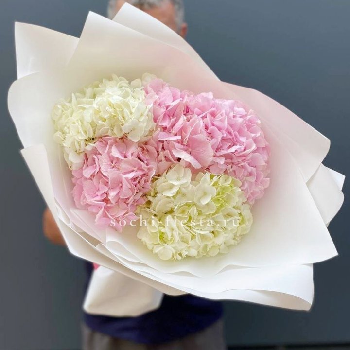 Букет гортензий №5 в Тольятти