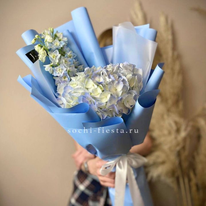 Гортензия "Блю скай" в Тольятти