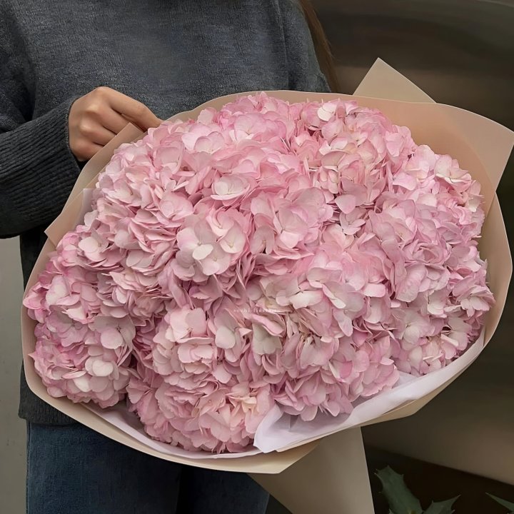 Гортензия  "РОЗЕ" в Тольятти