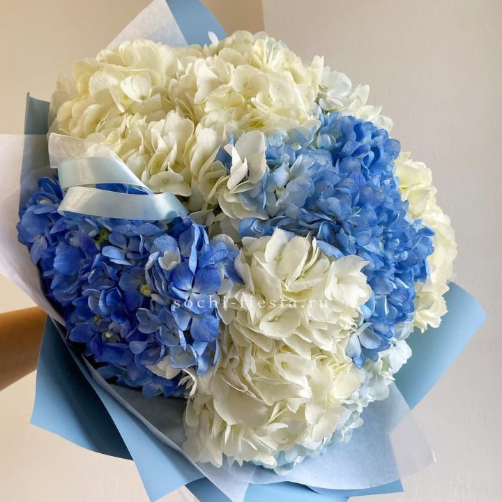 Букет гортензий "Голубая лаза" в Тольятти