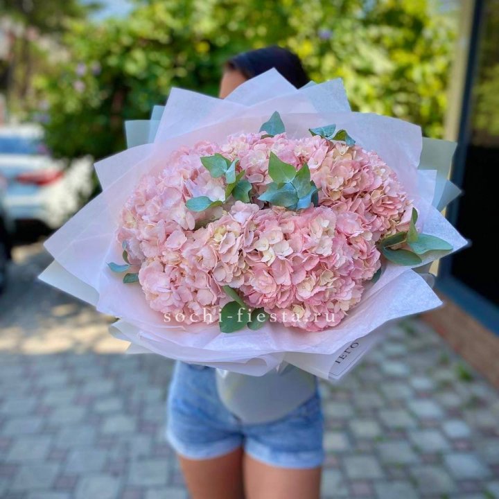 5 розовых гортензий  в Тольятти