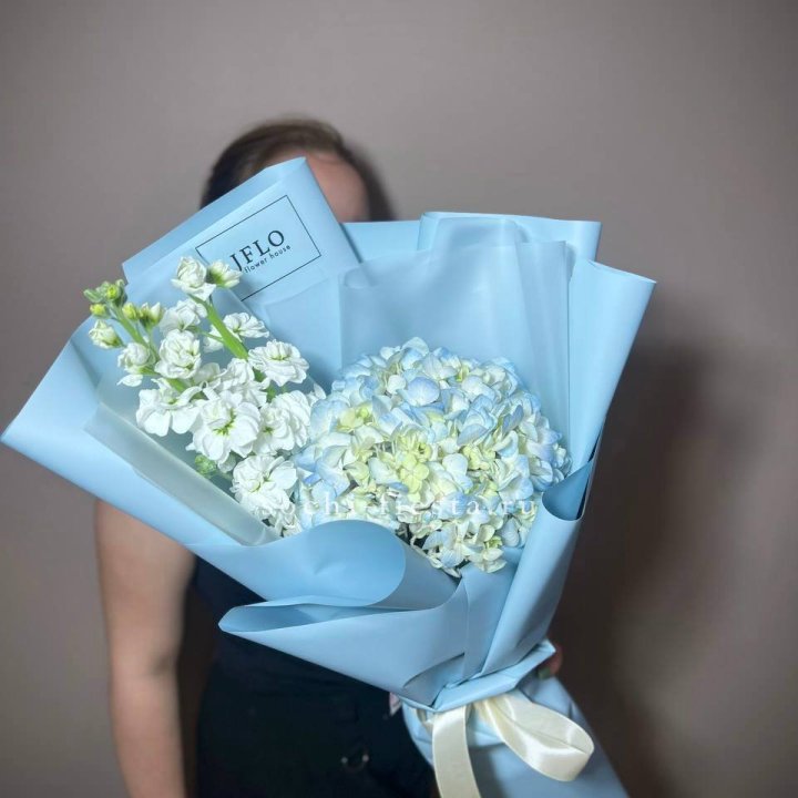 Гортензия голубая с маттиолой в Тольятти