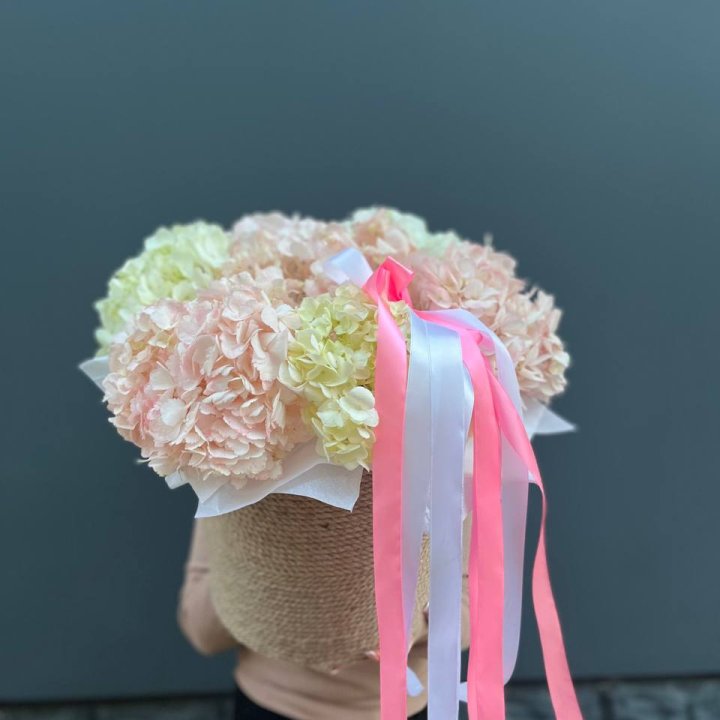 7 гортензий в кашпо в Тольятти