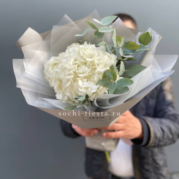  Букет  из белой гортензии в Тольятти