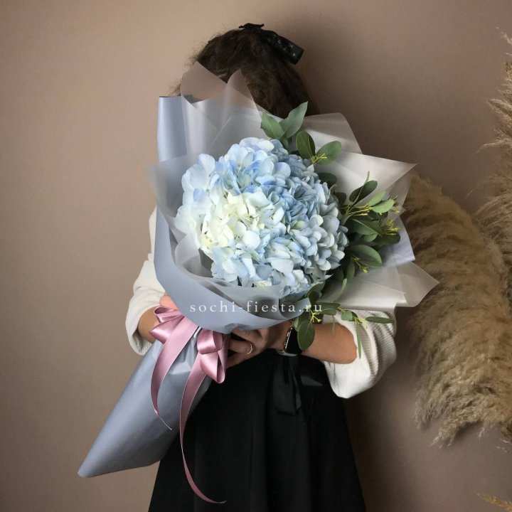 Гортензия Уно в Тольятти