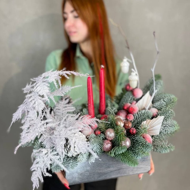 Бокс красный с нобилисом в Тольятти