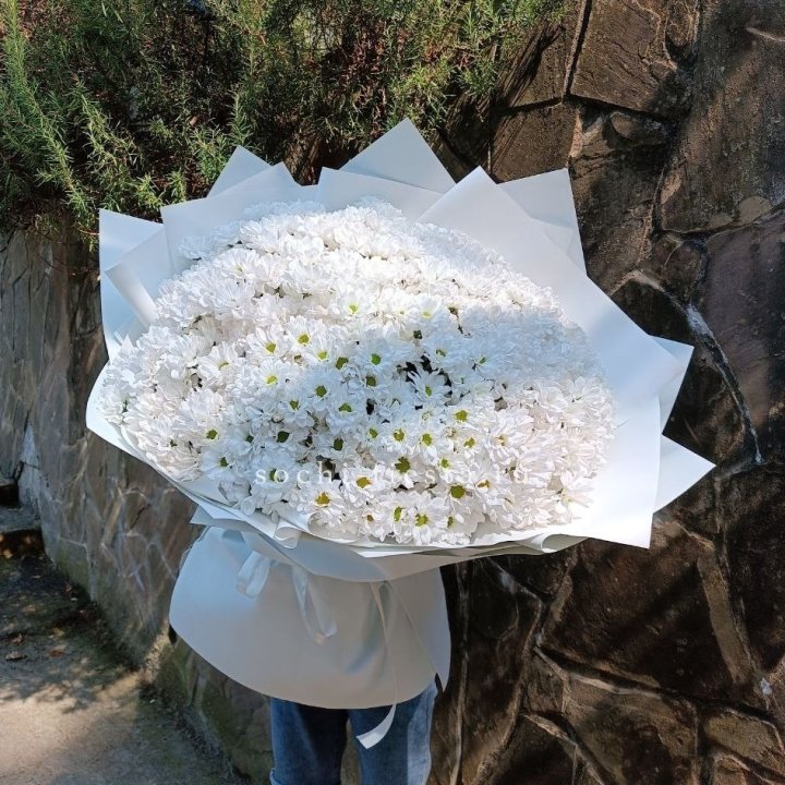 Облако хризантем №2 в Тольятти