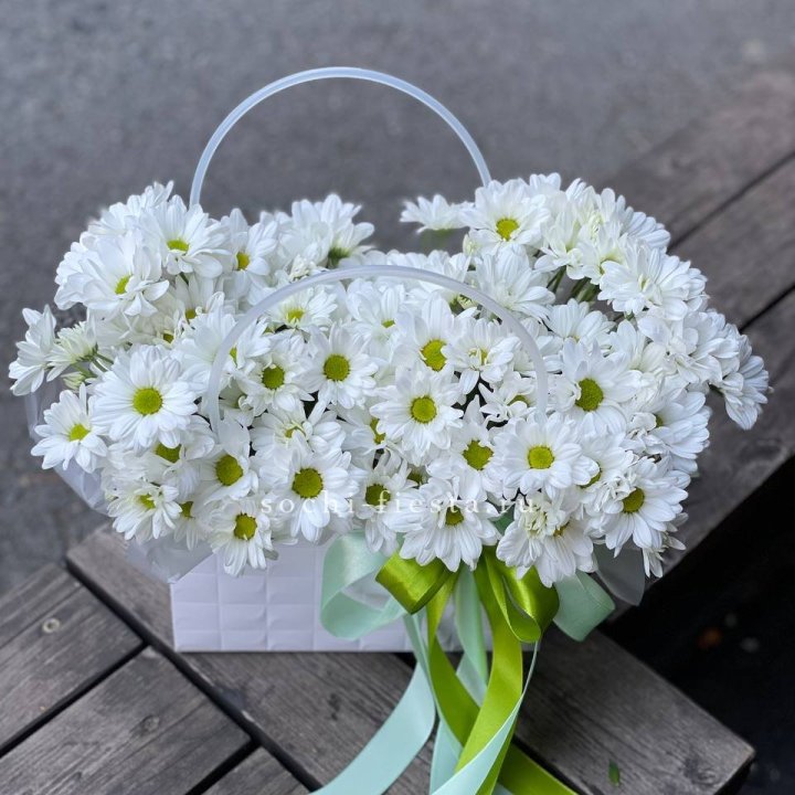 Сумка с хризантемами ромашками в Тольятти