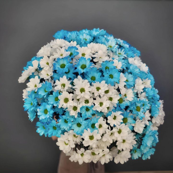  Букет хризантем микс в Тольятти