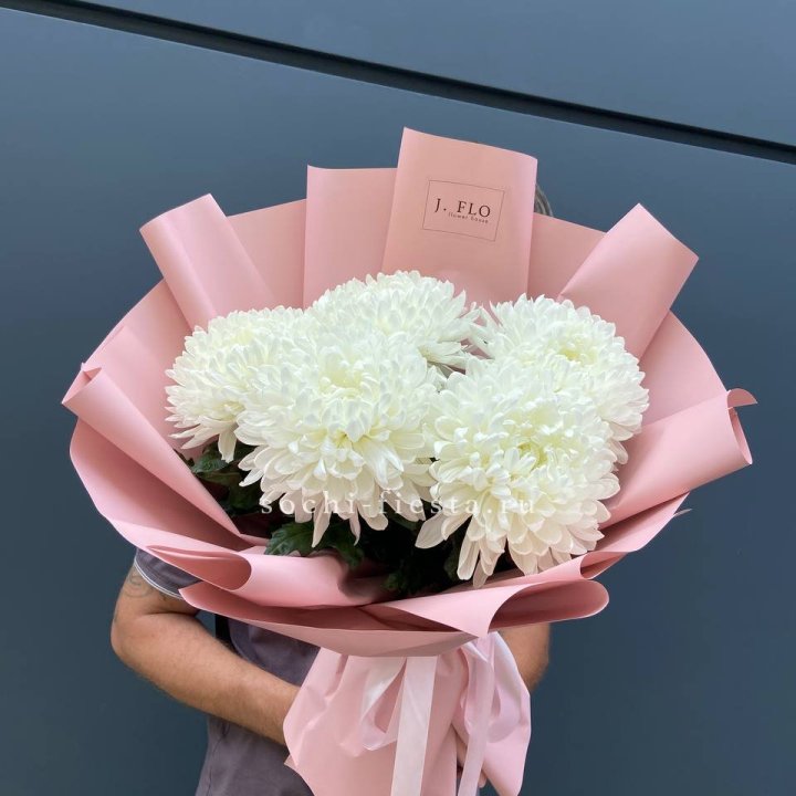 Профитроли №2 в Тольятти