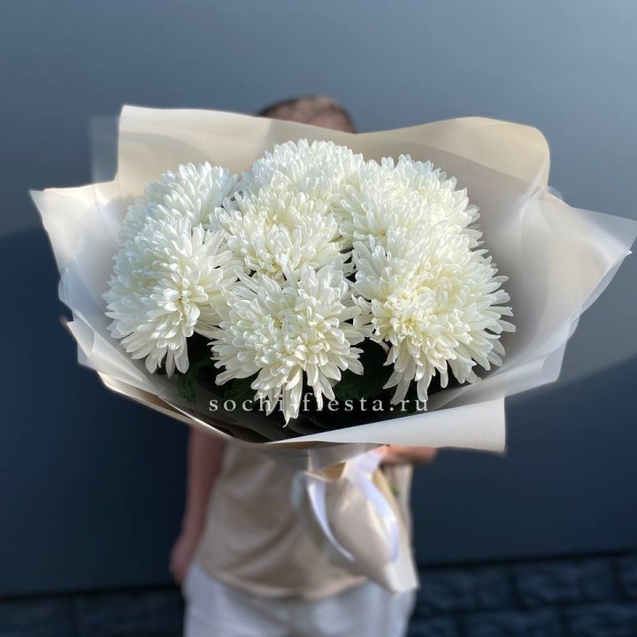 Профитроли в Тольятти