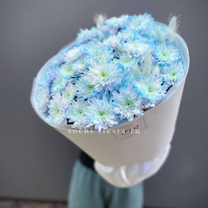  Букет нежно-голубых хризантем  в Тольятти