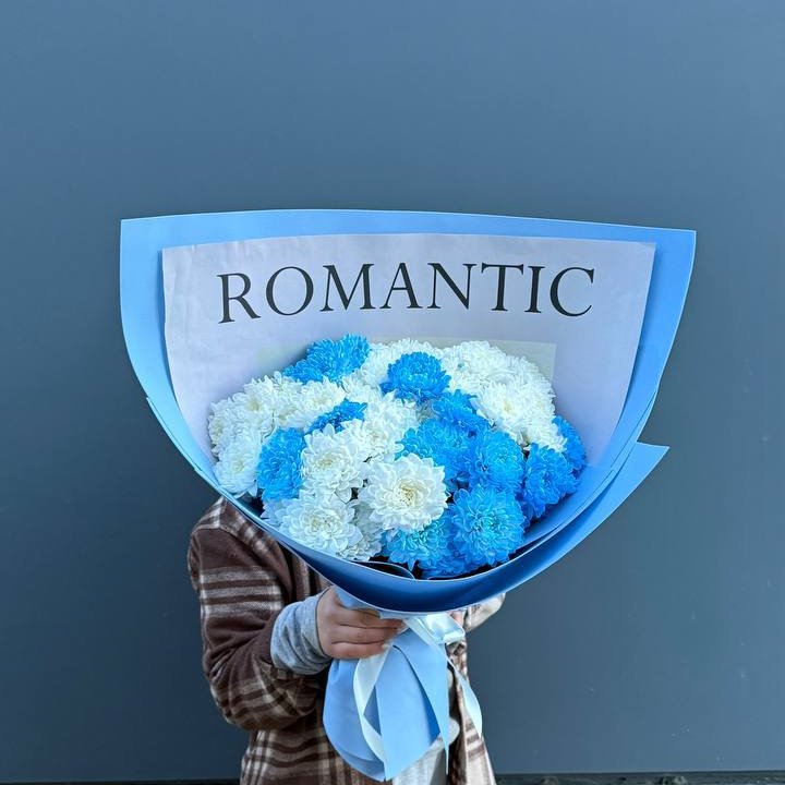 Дуо хризантем в Тольятти