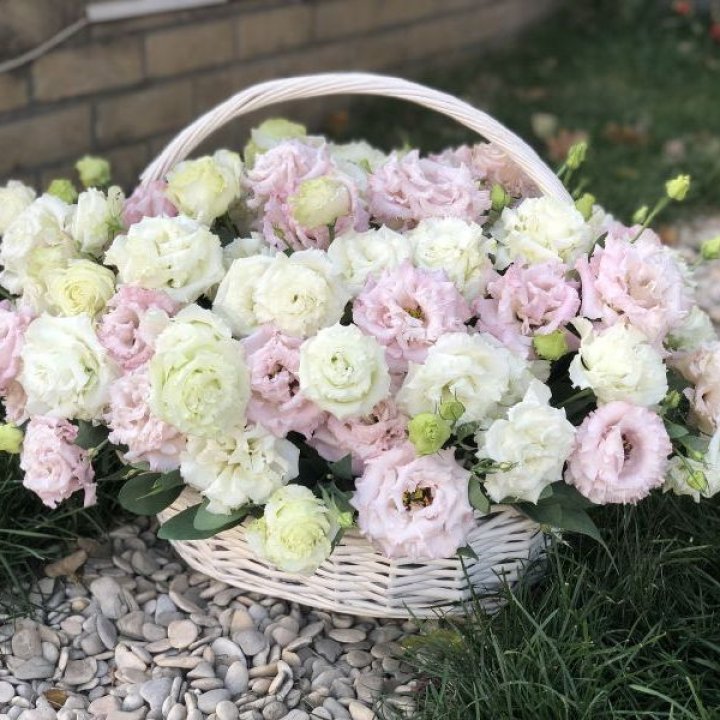 Корзина с эустомой в Тольятти